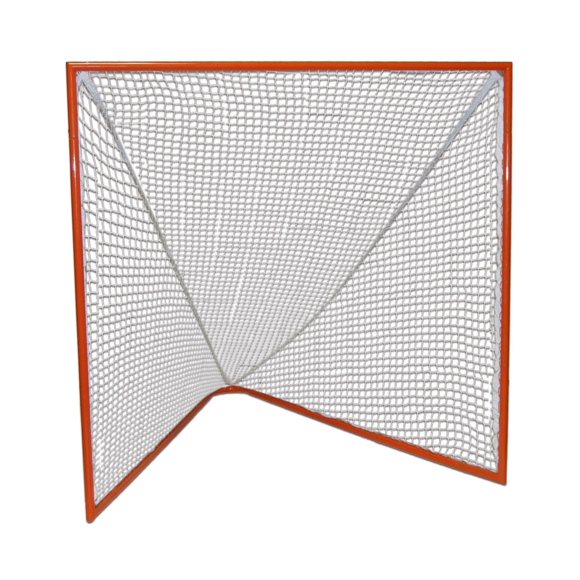 Lacrosse Practice Goal